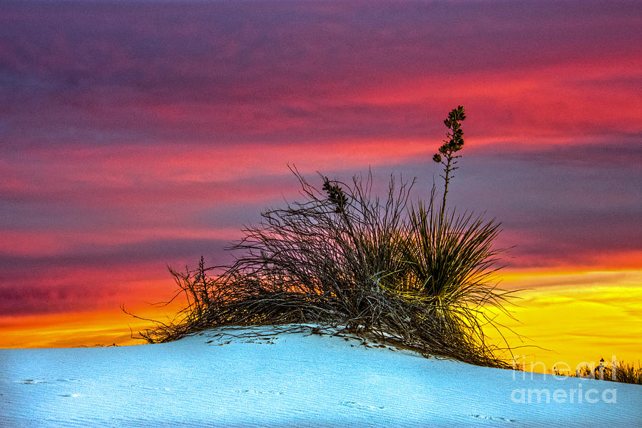 White Sands Sunset Photograph by Lisa Manifold