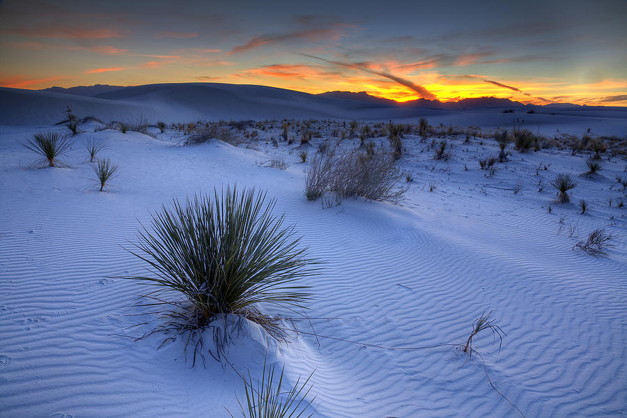 White Sands Sunset Photograph by Peter Tellone