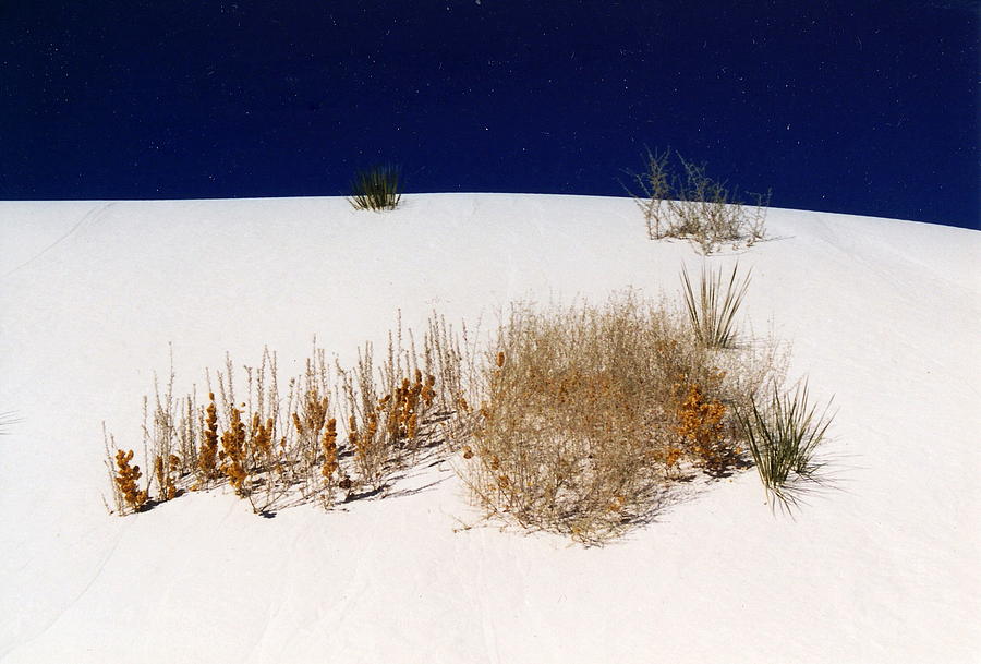 White Sands Photograph by Suzanne Krueger