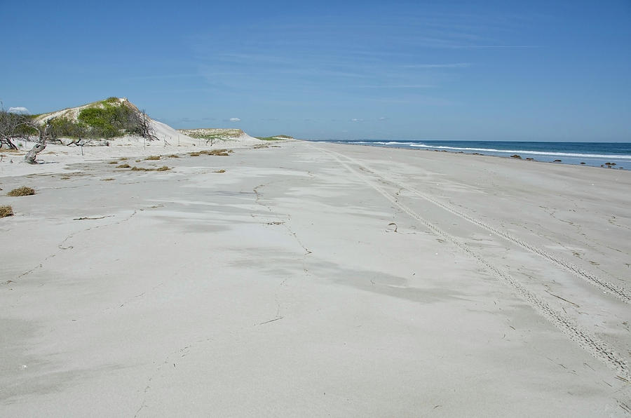White Sandy Beach Photograph by Donna Doherty