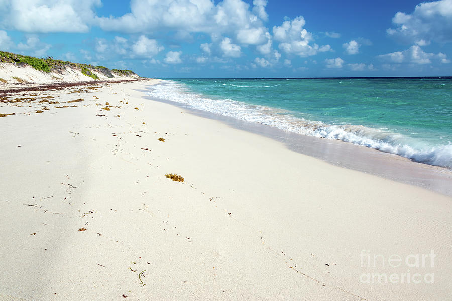 White Sandy Beach Photograph by Jess Kraft | Fine Art America