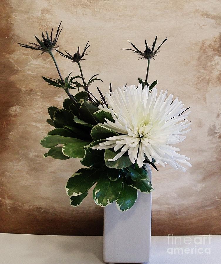 White Spider Mum Photograph by Marsha Heiken - Fine Art America