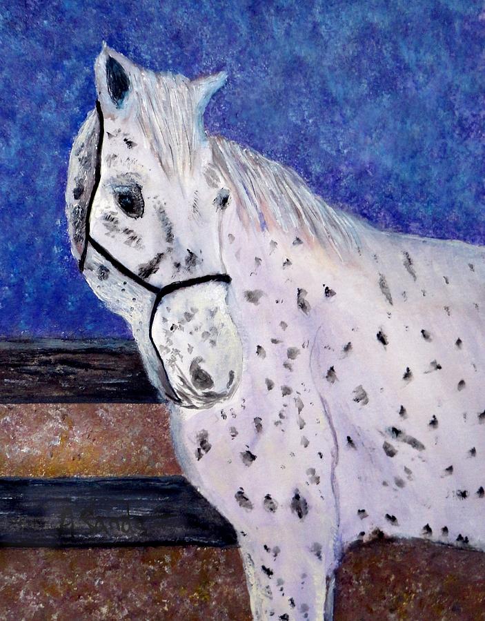 white spotted Horse Painting by Anne Sands
