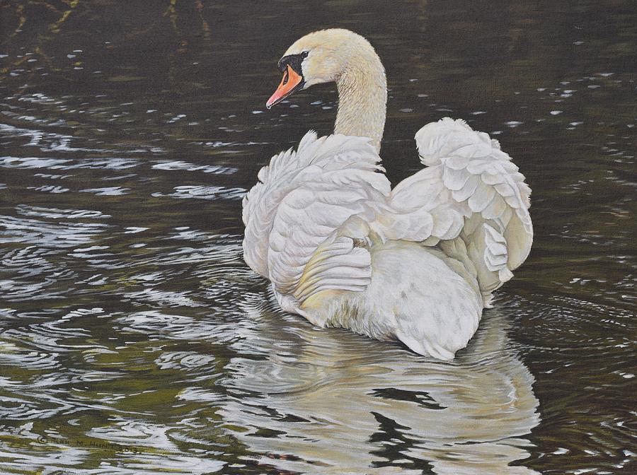 White Swan Painting by Alan M Hunt