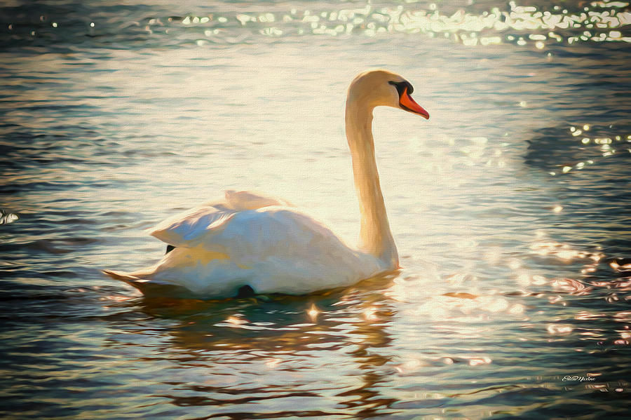 Swan Painting - White Swan on Sparkling Lake - Painting by Ericamaxine Price