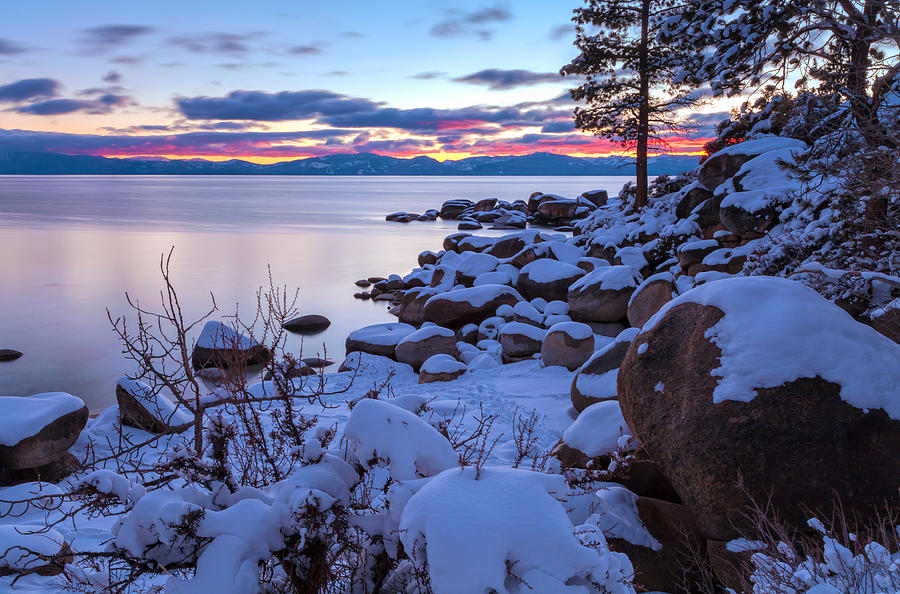 White Tahoe Photograph by Jonathan Nguyen