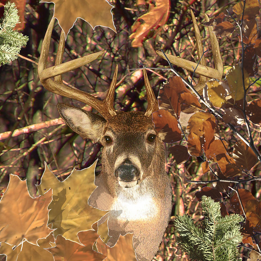White Tail Deer Buck Fall Camo Digital Art by Garaga Designs