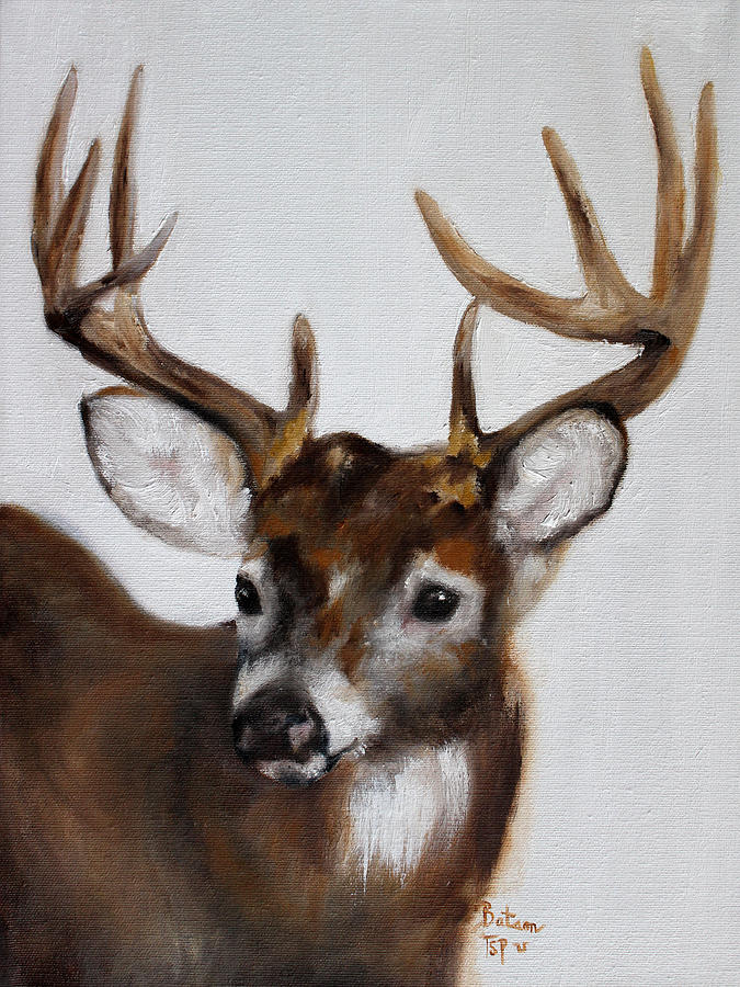 Whitetail Deer Painting by Barbie Batson