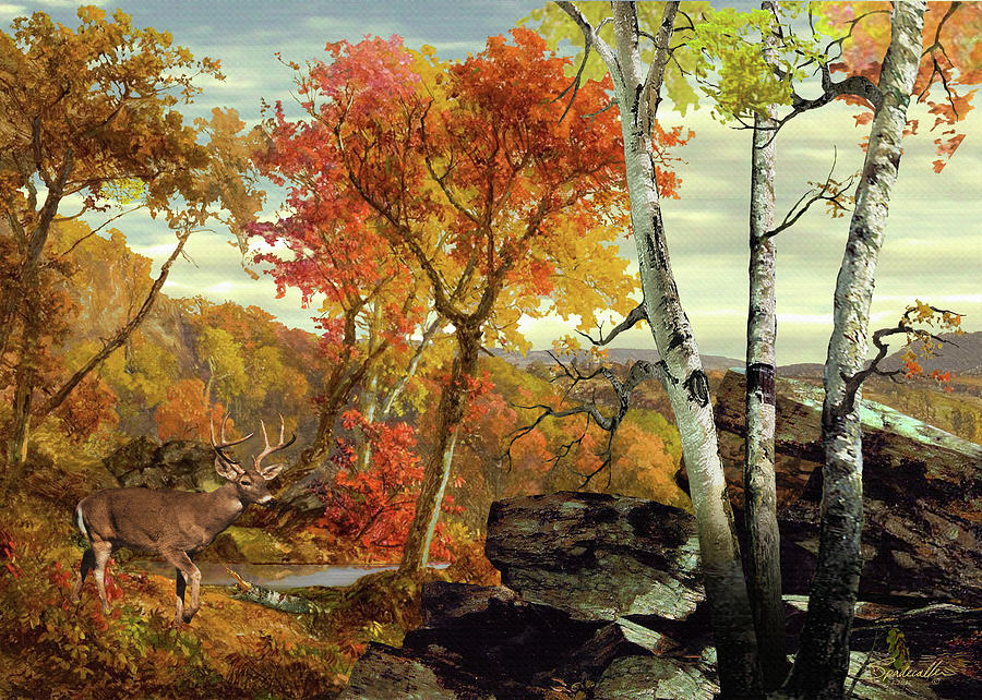 White-tailed Deer in the Poconos Digital Art by M Spadecaller