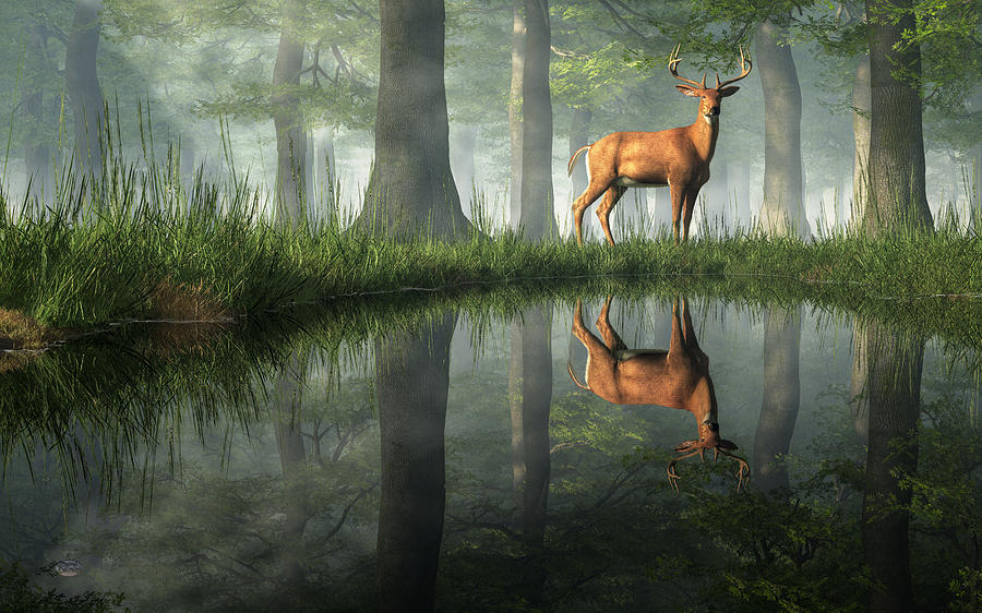 White Tailed Deer Reflected Digital Art by Daniel Eskridge