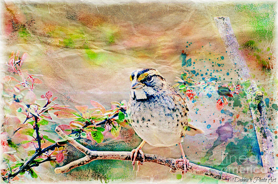 White Throated Sparrow - Digital Paint 2 Photograph by Debbie Portwood