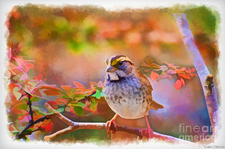 White Throated Sparrow - Digital Paint 3 Photograph by Debbie Portwood