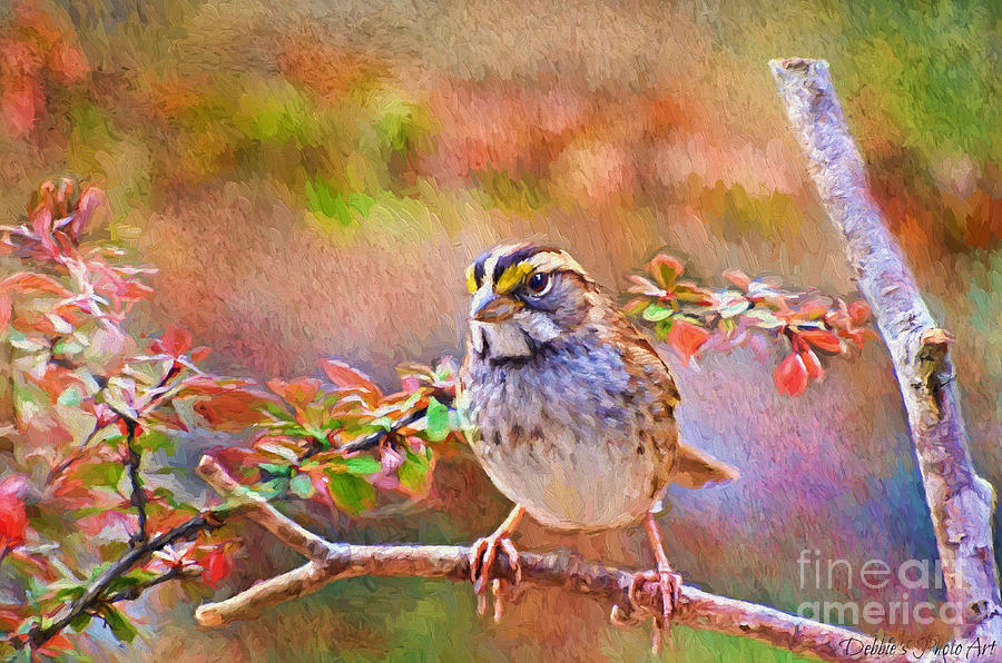 Nature Photograph - White Throated Sparrow - Digital Paint by Debbie Portwood