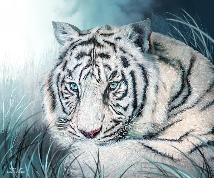 White Tiger - Spirit Of Sensuality Mixed Media by Carol Cavalaris