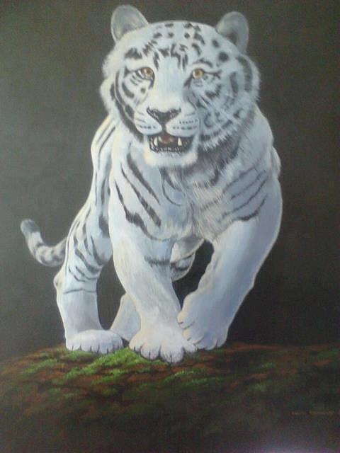 White Tiger Painting by Devon Packwood