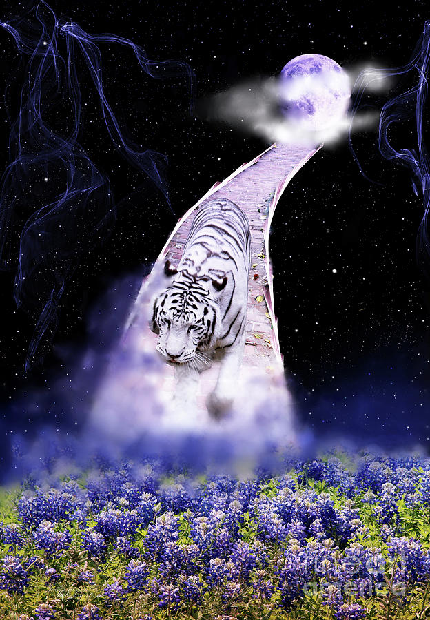 Ice Tiger Wallpapers  Top Free Ice Tiger Backgrounds  WallpaperAccess