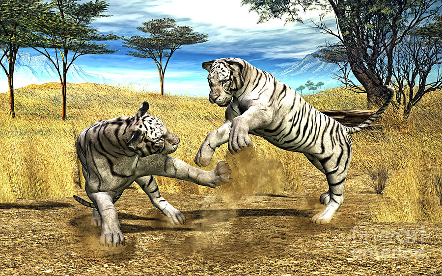 Tiger Painting - White Tiger Fight by Two Hivelys