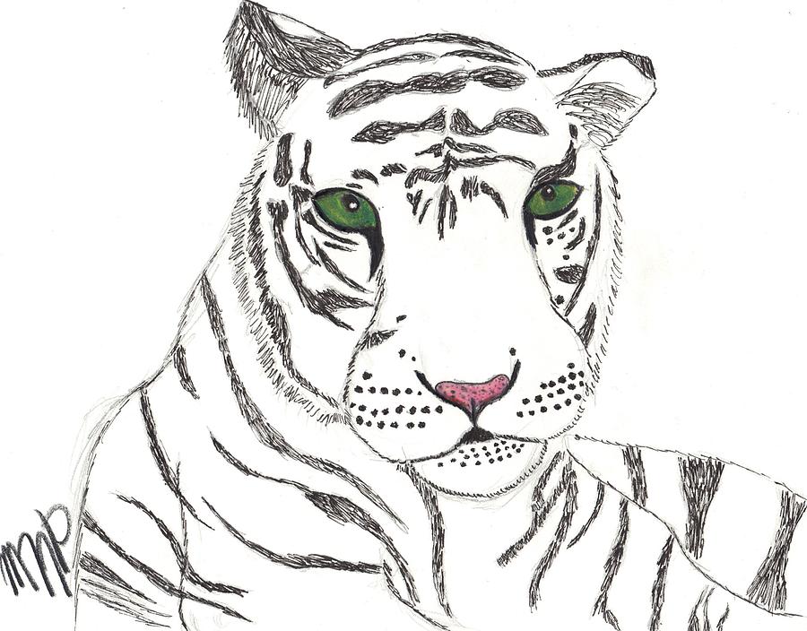 Tiger Drawing - White Tiger by Maddi Pollihan