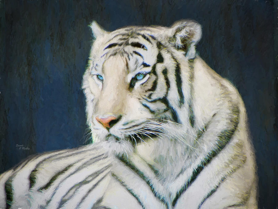 Wildlife Photograph - White Tiger Portrait by Sandi OReilly