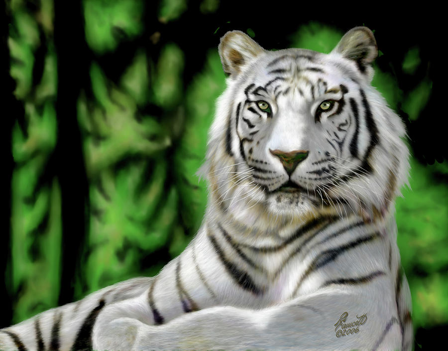 White Tiger Digital Art by Randy Fawcett - Pixels