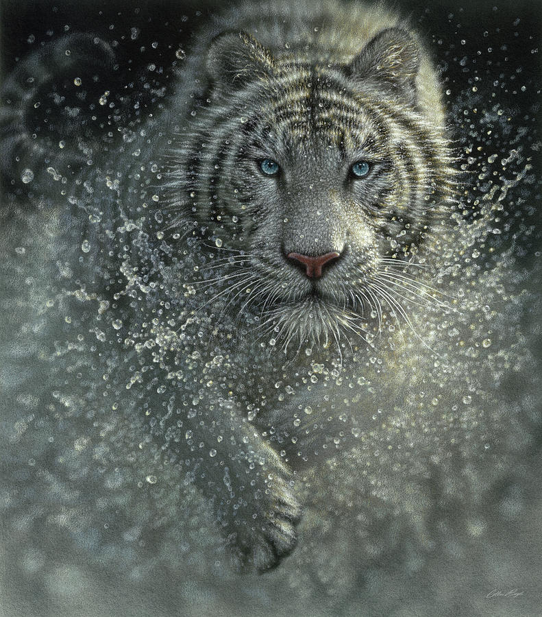 Tiger Painting - White Tiger - Wet and Wild by Collin Bogle