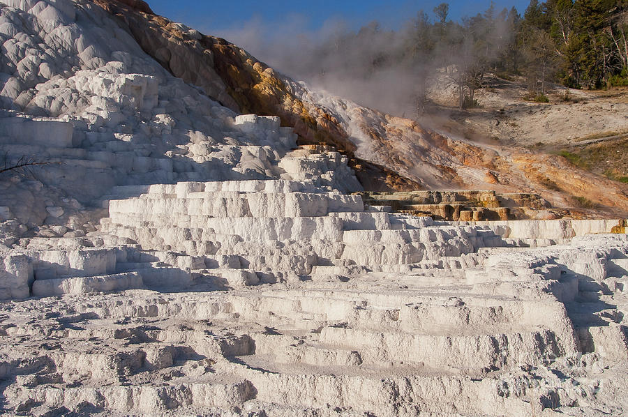 White Travertine Terraces at Mammoth Hot Springs Photograph by Bob Phillips