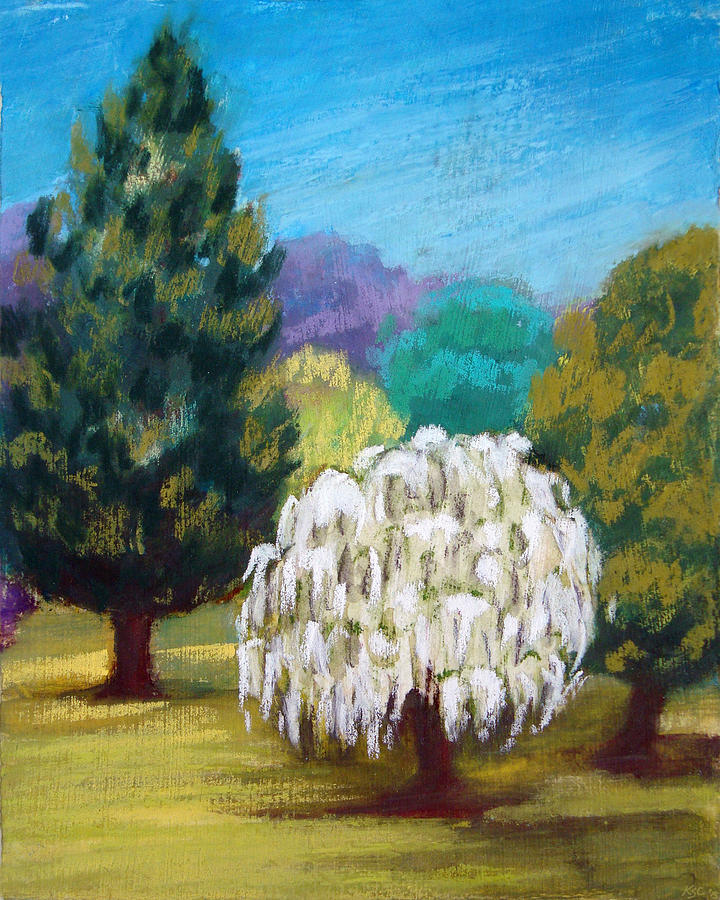 White Tree Pastel by Karen Coggeshall