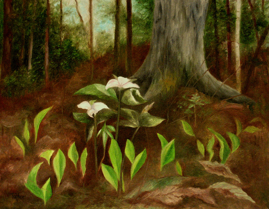 White Trillium Painting by FT McKinstry