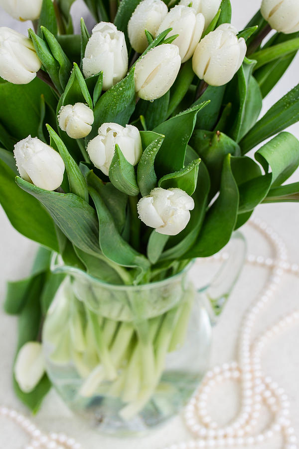 White  Tulips Photograph by Anastasy Yarmolovich