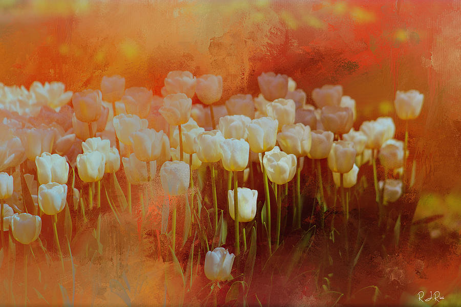 Flower Digital Art - White Tulips by Richard Ricci