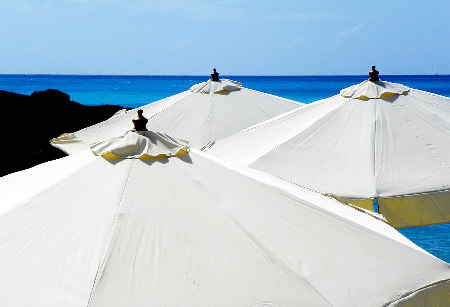 Landscape Photograph - White Umbrellas by Karen Wiles