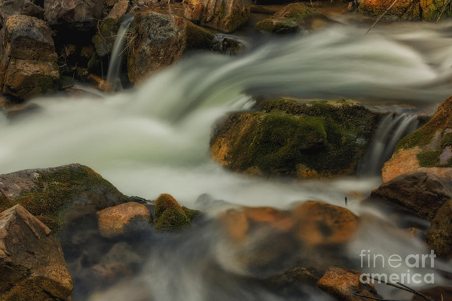 White Water And Mossy Rocks Photograph