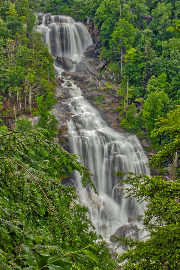 White Water Falls Photograph by Dana Foreman