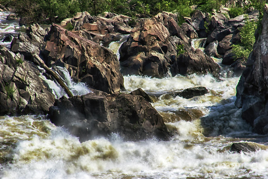 Nature Photograph - White Water on the Potomac by Tom Gari Gallery-Three-Photography