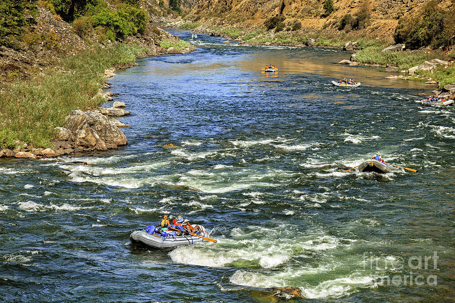 White Water Rafting Photograph by Robert Bales