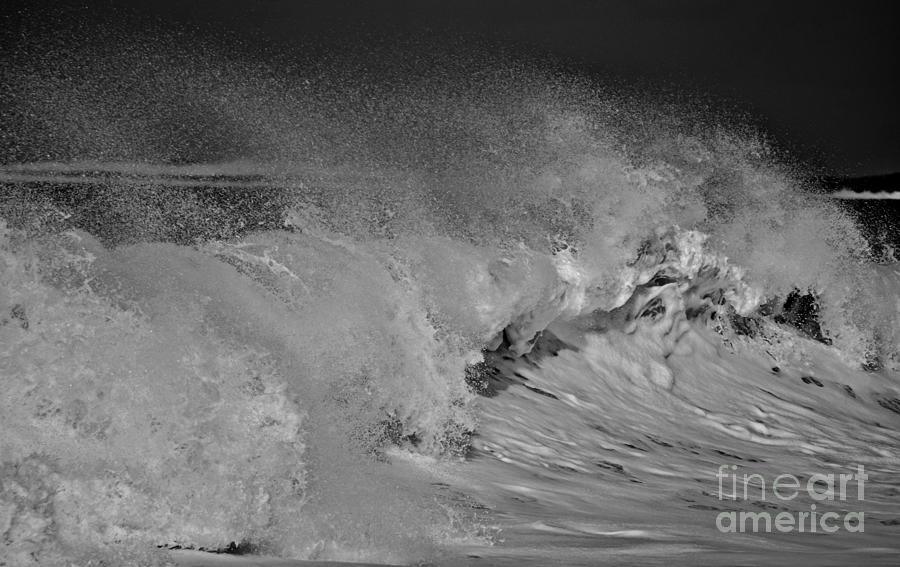 White Wave Photograph by Debra Banks
