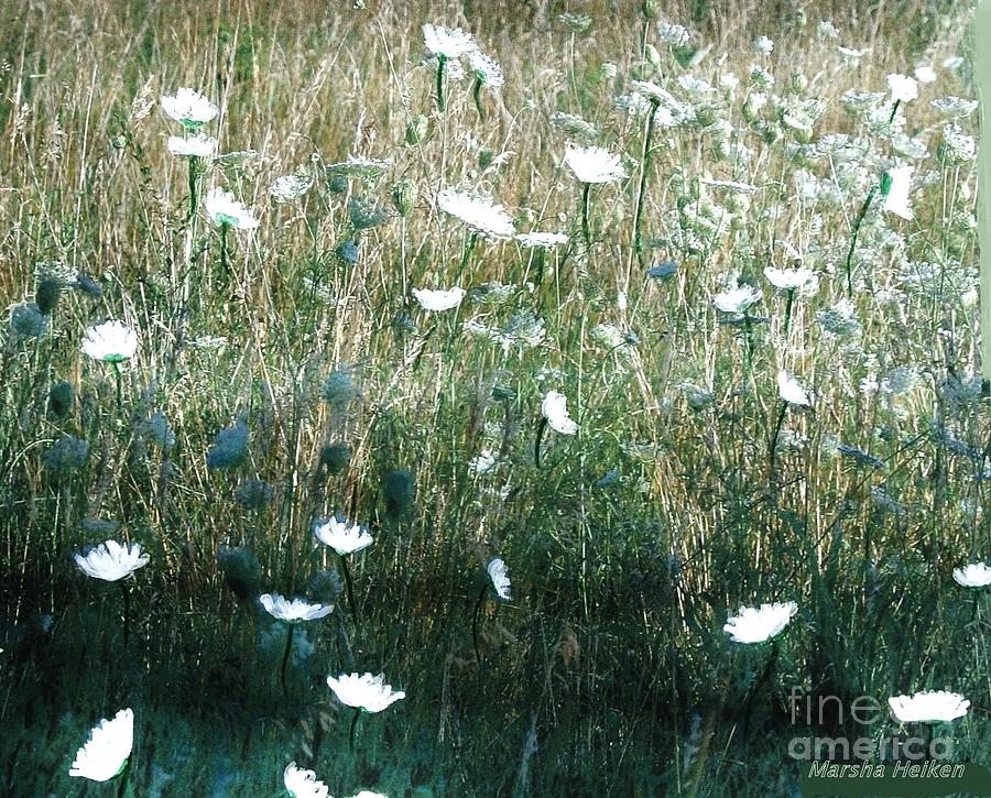 White Wild Flowers Landscape Photograph by Marsha Heiken