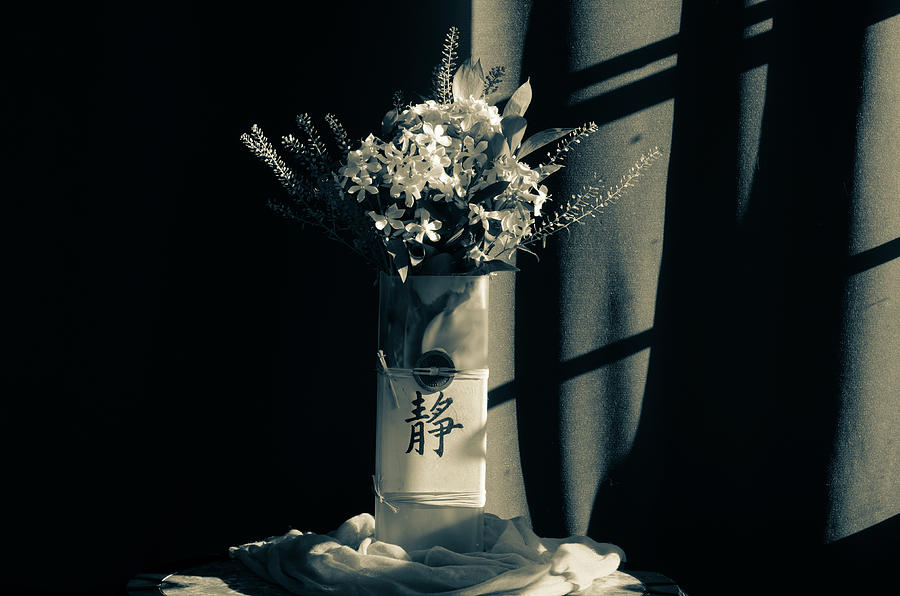 Black And White Photograph - White Wildflowers in June by Wendy Blomseth Black And White Photograph - White Wildflowers in June by Wendy Blomseth