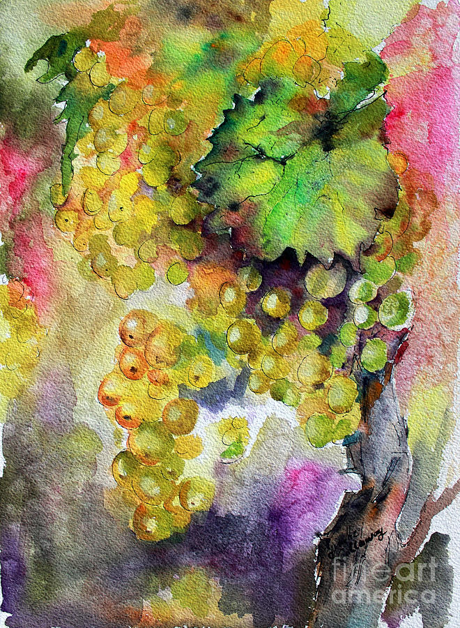 White Wine Grapes Vineyard Watercolor Painting Painting by Ginette Callaway