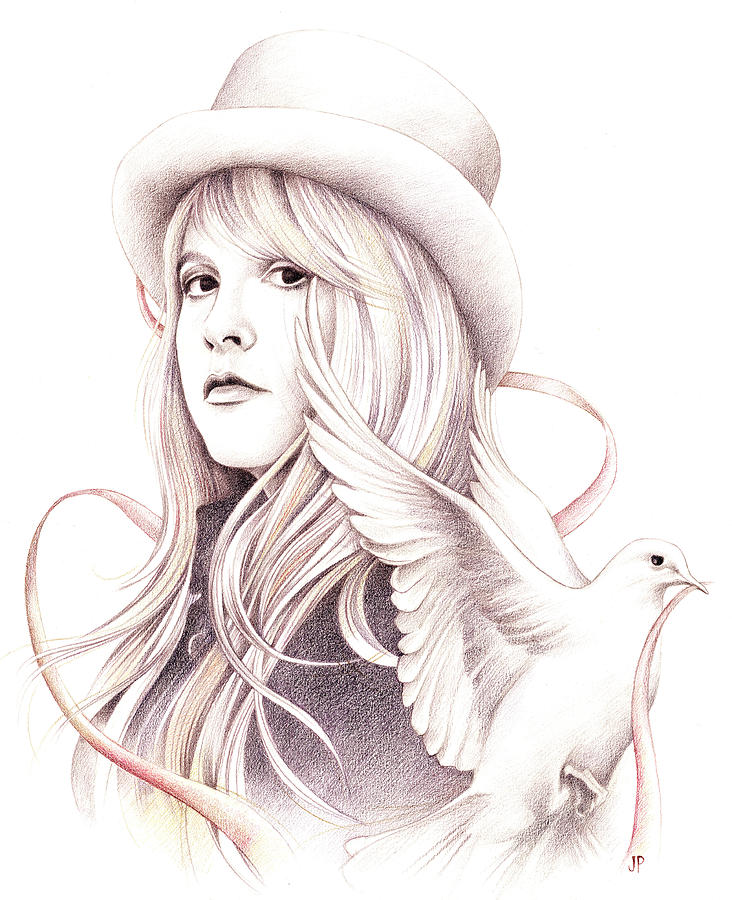Stevie Nicks Drawing - White Winged Dove by Johanna Pieterman
