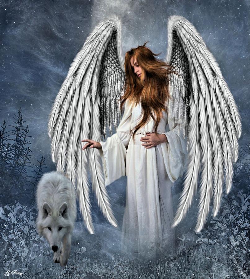 angel wolf. :O that looks familiar