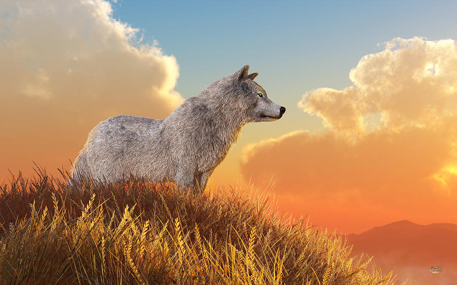 White Wolf Digital Art by Daniel Eskridge