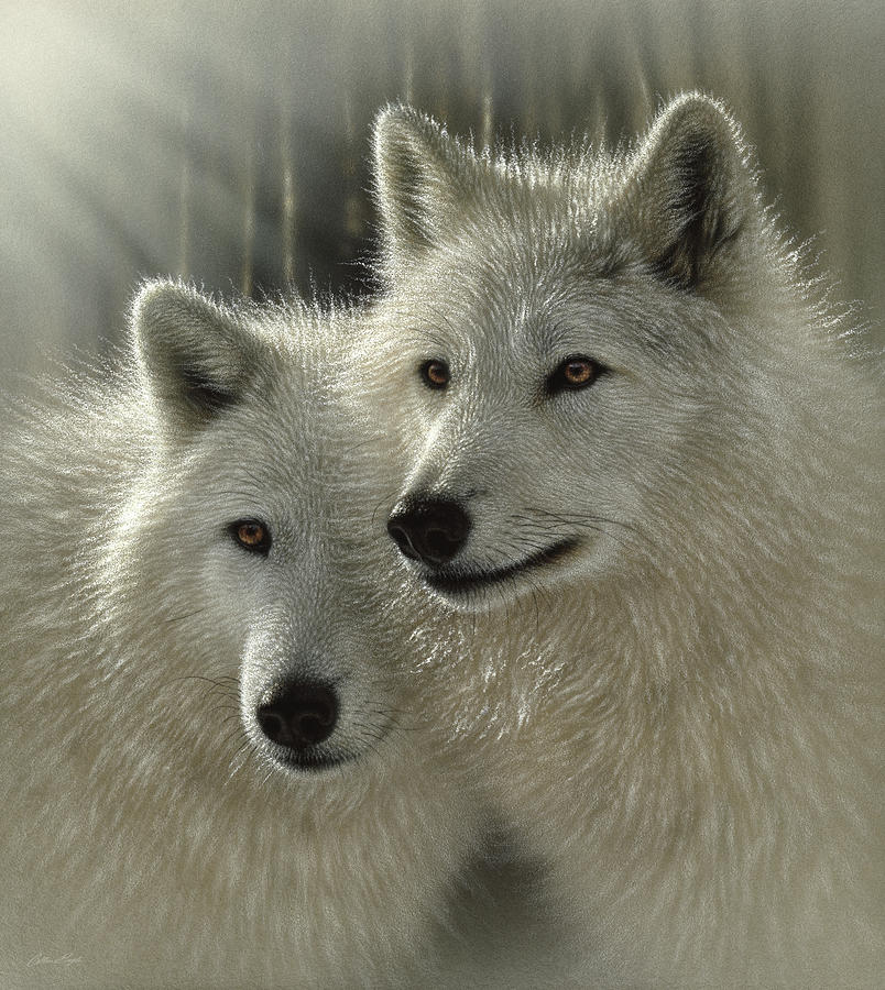 White Wolves - Sunlit Soulmates Painting by Collin Bogle