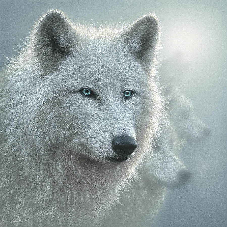 White Wolves - Whiteout Painting by Collin Bogle