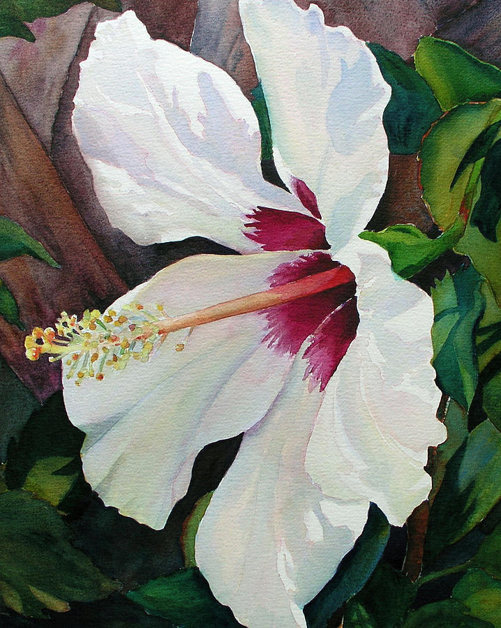 Hibiscus Painting - White Wonder by Judy Mercer