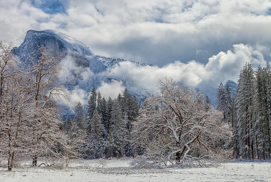 White Yosemite Photograph by Jonathan Nguyen