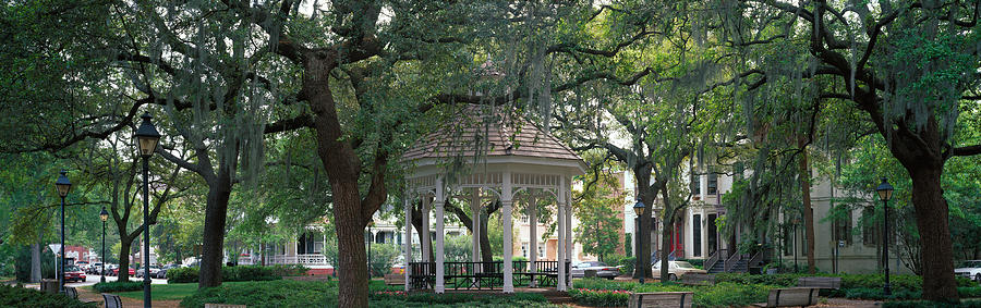 Whitefield Square Historic District Photograph By Panoramic Images