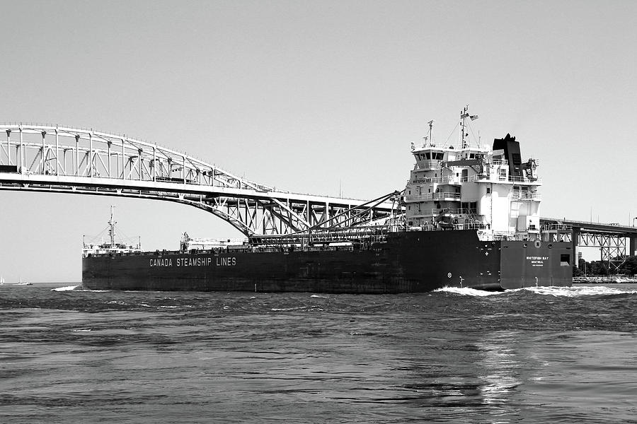 Whitefish Bay and Blue Water Bridge 2 BW Photograph by Mary Bedy