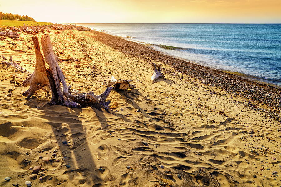 Whitefish Point, Michigan Photograph by Alexey Stiop