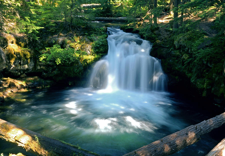 Whitehorse Falls Umpqua National Forest Oregon Photograph by Wayman Benton